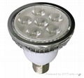 PAR30 led spot light 1