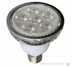 PAR30 led spot light