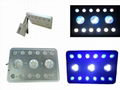 21w 27w led aquarium lights for coral reef fish tank with 1w leds