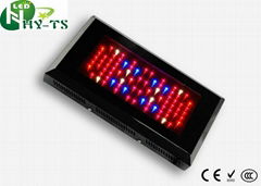 Led Grow Light 80x3w For Greenhouse bonsai hydroponics horticuture