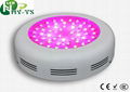 100w UFO Led Growing Light Plants Led Grow Lamp 1