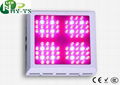 Led Hydroponics Grow Lighting  1