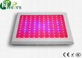 200w Grow Led Lamp For Greenhouse Lighting 