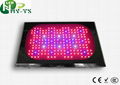 Led Greenhouse Lamp  Led Grow Lights For horticulture hydroponics bonsai Grow  1