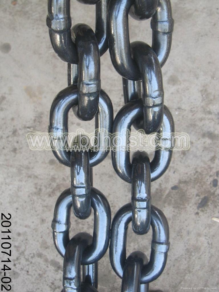 Lifting Chain 5