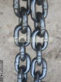 Lifting Chain 5