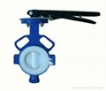 corrosion resistant butterfly valve