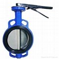 Rubber Lined Butterfly Valve  2
