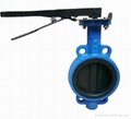 Rubber Lined Butterfly Valve  1