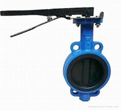 Rubber Lined Butterfly Valve 