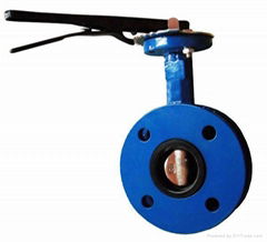 U Type Butterfly Valve 