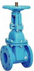 Rising Stem Resilient Seated Gate Valve