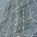 sns ring netting 4