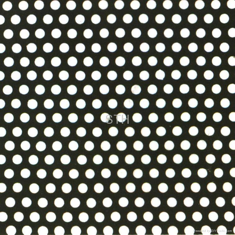 Perforated Metal Mesh 5