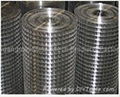 Welded Wire Mesh 1