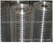 Welded Wire Mesh