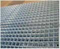 Welded Wire Mesh 2