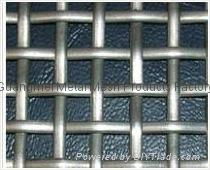 Galvanized Square Wire Mesh