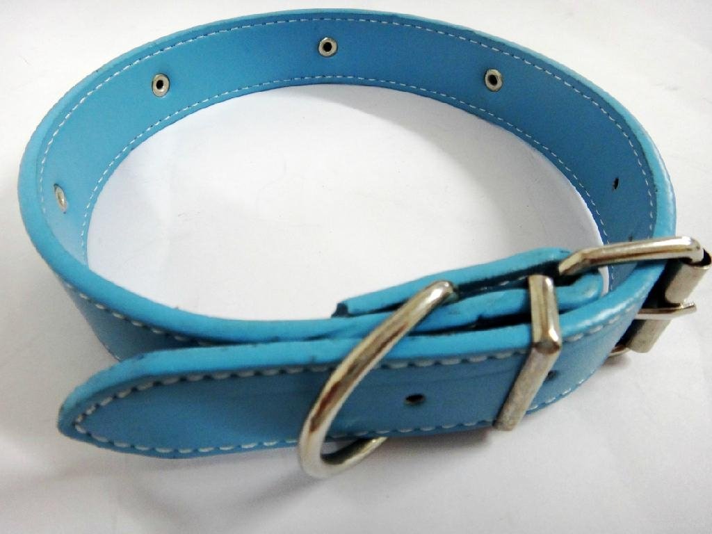 Light blue fashion leather dog collars