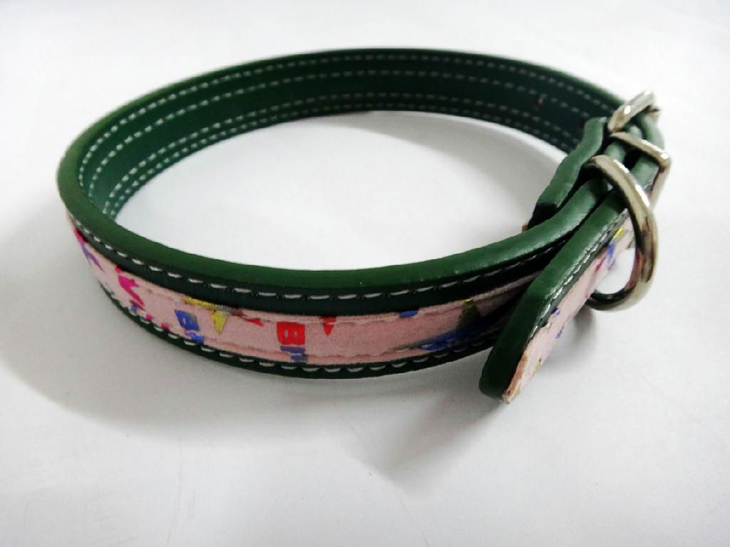 2011 hot pet collar