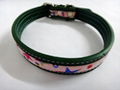 2011 hot pet collar 2