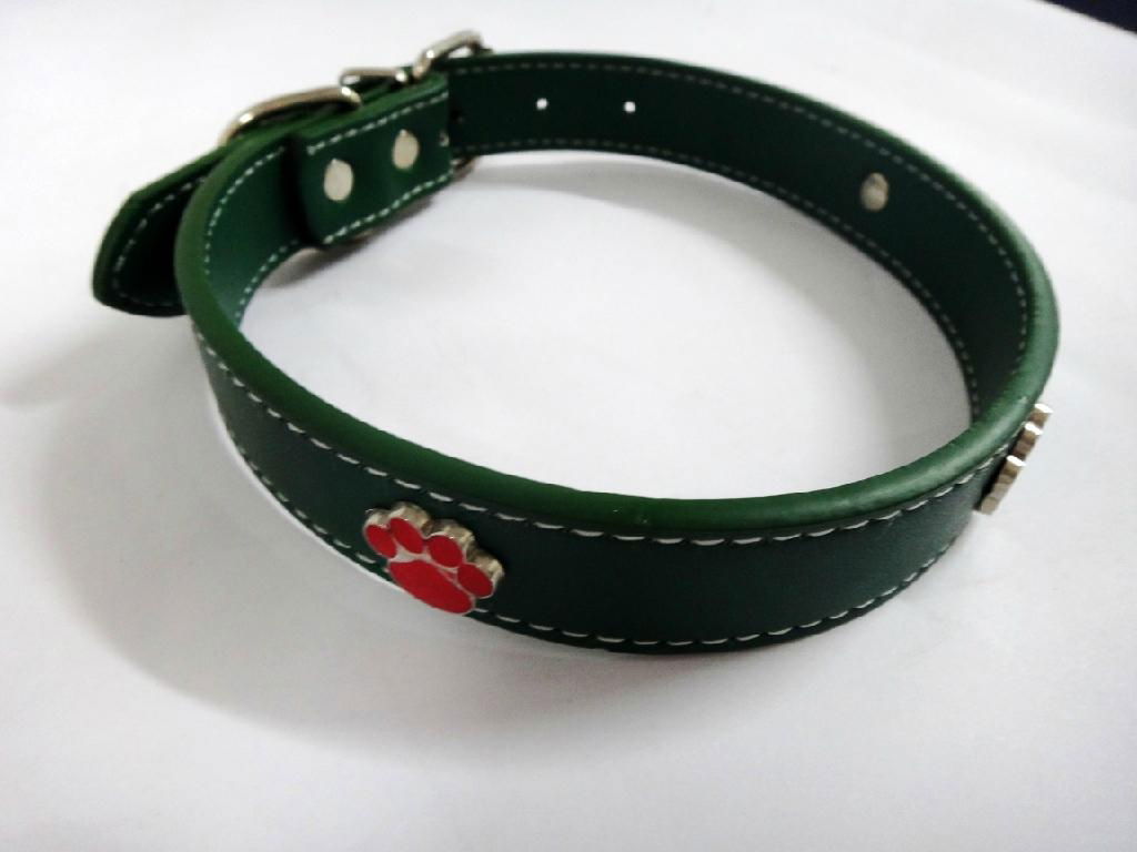 Green fashion leather dog collar