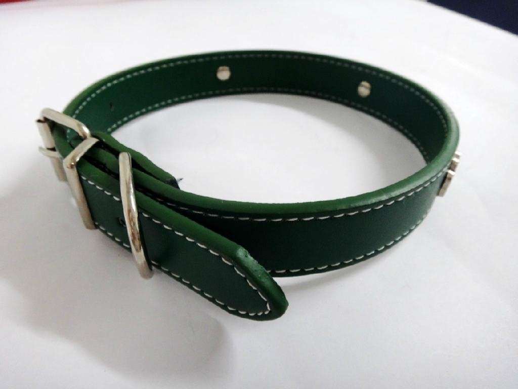 Green fashion leather dog collar 2