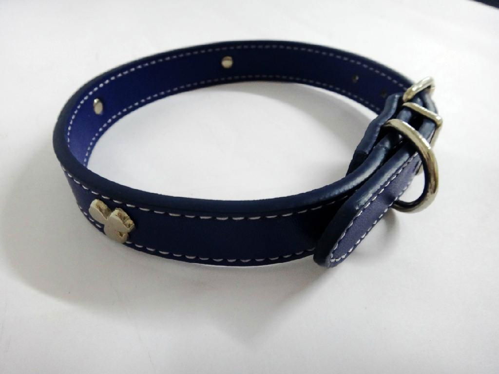 Dark blue fashion leather dog collar 2