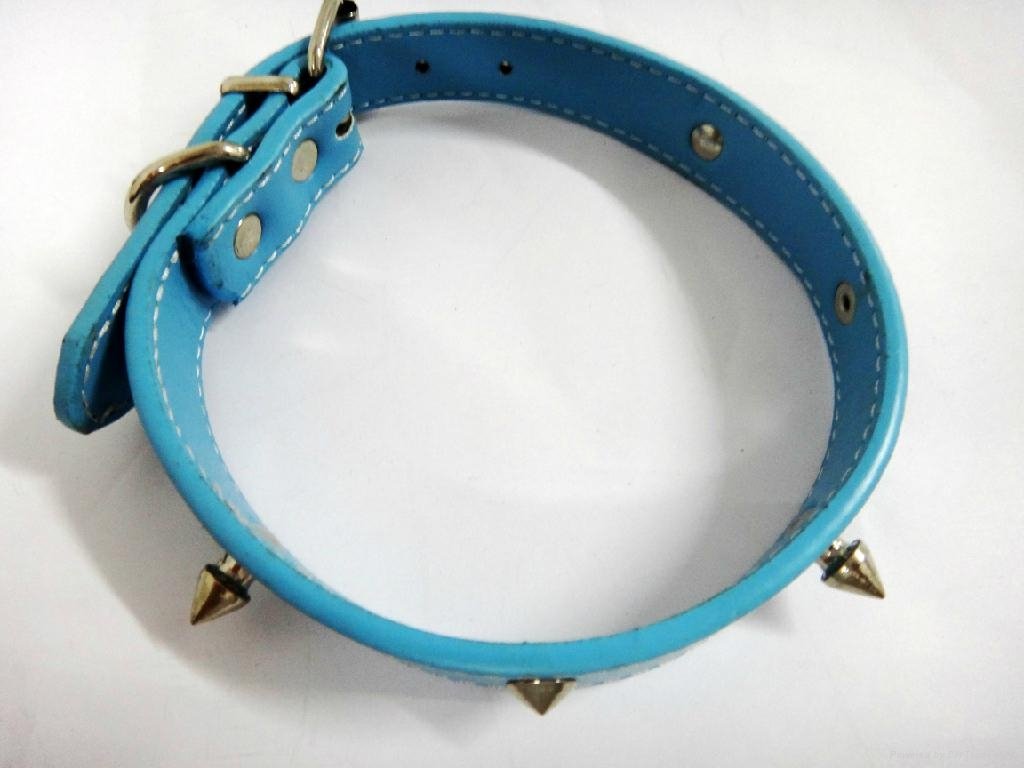 2011 light blue fashion leather dog collar