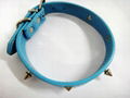 2011 light blue fashion leather dog