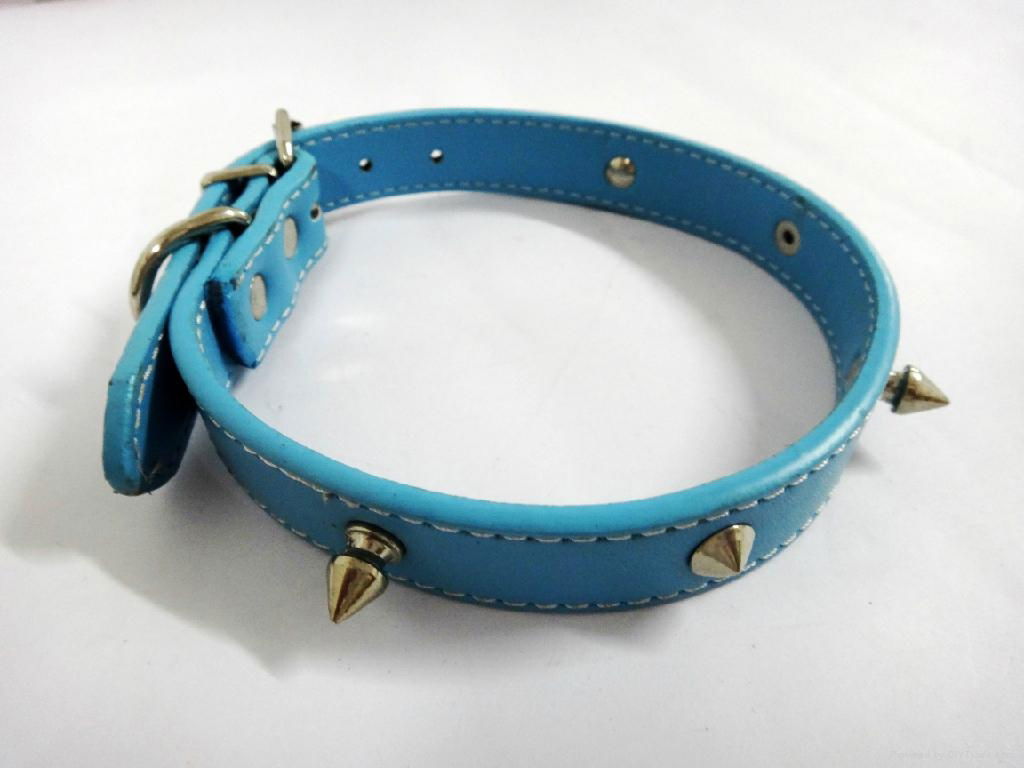 2011 light blue fashion leather dog collar 2