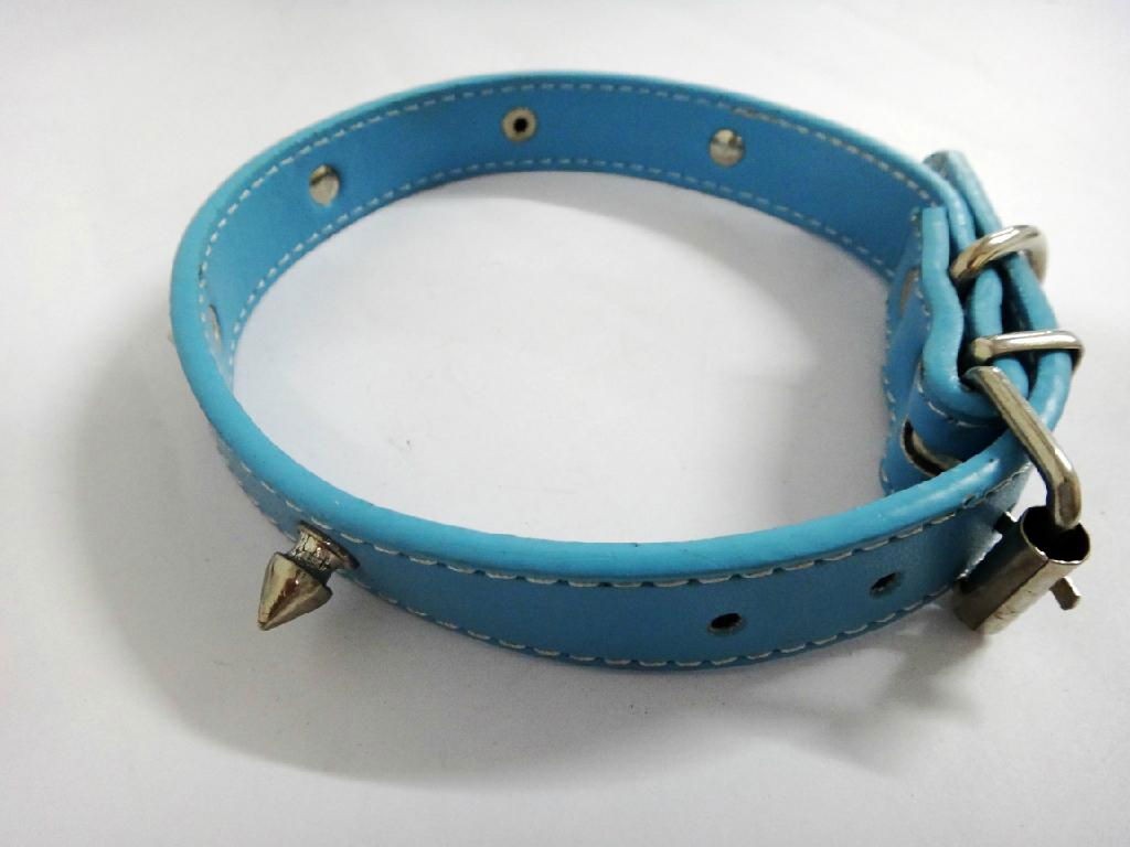 2011 light blue fashion leather dog collar 3