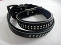 2011diamonded leather dog collar 1