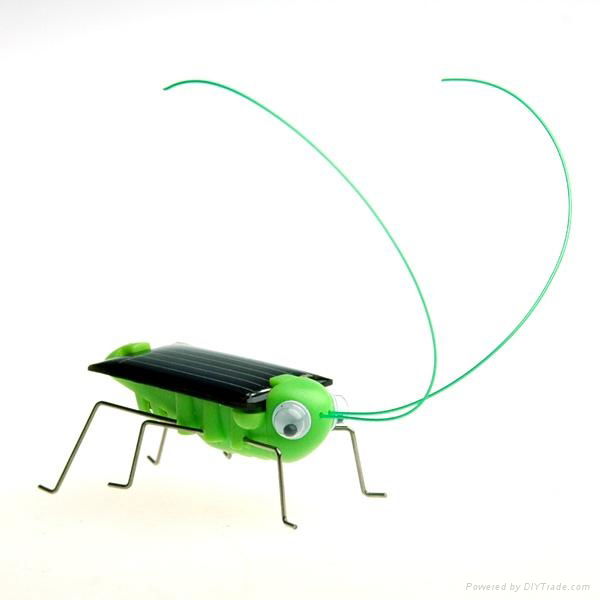Solar toy grosshopper solar turtle solar gift fashion gift