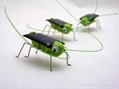 Solar toy grosshopper solar turtle solar gift fashion gift 2
