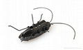 Solar toy cockroach solar turtle solar gift fashion gift educational stuff 4