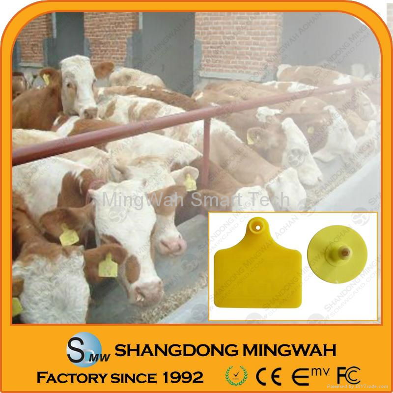 2011 China Animal rfid ear tag/glass tag/leg ring 