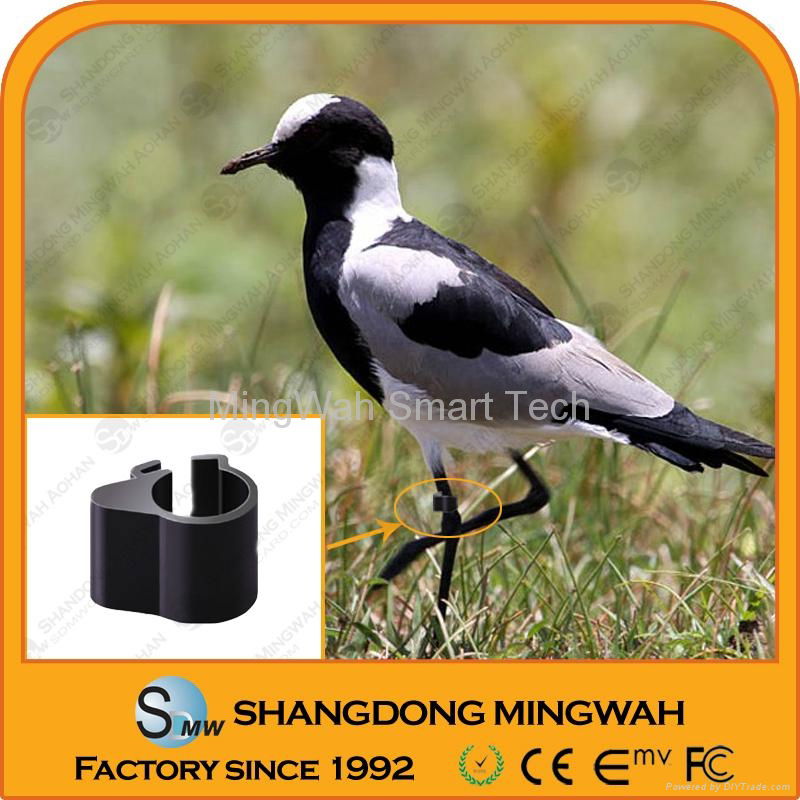 2011 China Animal rfid ear tag/glass tag/leg ring  2