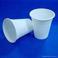 Biodegradable cup HYG-7