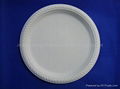 Corn Starch Disposable Tableware Compostable Plate HYP-10 1