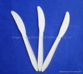 Biodegradable Disposable Cutlery 6' Diposable Tableware 2