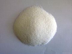 polyacrylamide