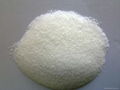 polyacrylamide 1