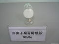 polyacrylamide 2