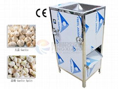 Garlic Sepatater & Video