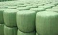 silage film