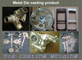 Metal and Plastic Co-molding 2