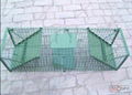 Squirrel & Cat Trap Cage HC2609M 1