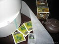 12gsm +/-0.8 non heat sealable tea bag filter paper 1