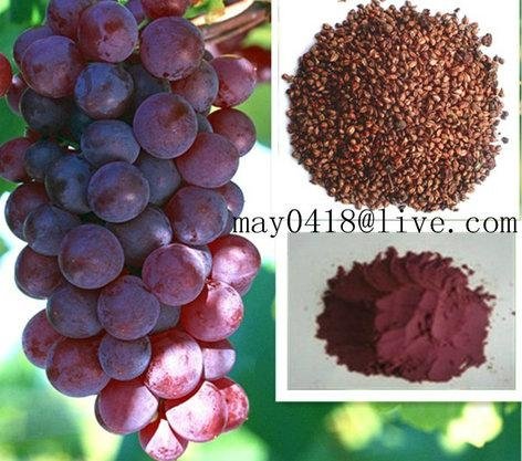Grape Seed Extract 1